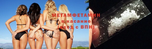 прущие грибы Верхний Тагил