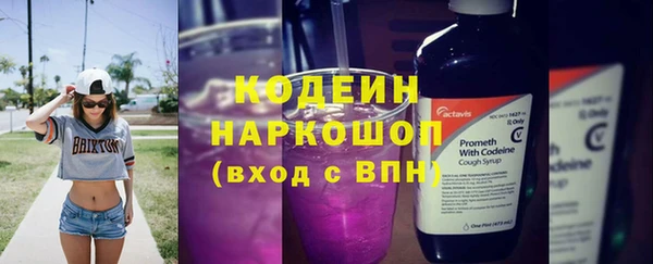 ГАЛЛЮЦИНОГЕННЫЕ ГРИБЫ Верея