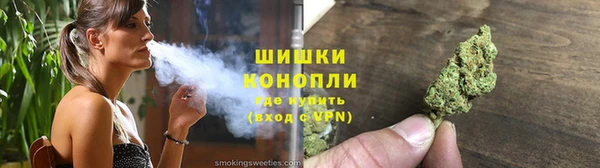 прущие грибы Верхний Тагил