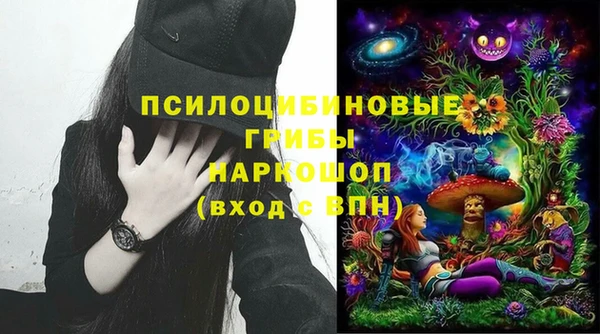 ГАЛЛЮЦИНОГЕННЫЕ ГРИБЫ Верея
