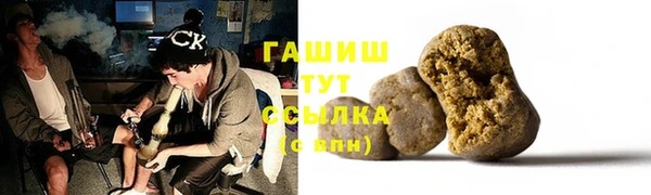 прущие грибы Верхний Тагил