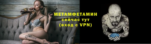прущие грибы Верхний Тагил