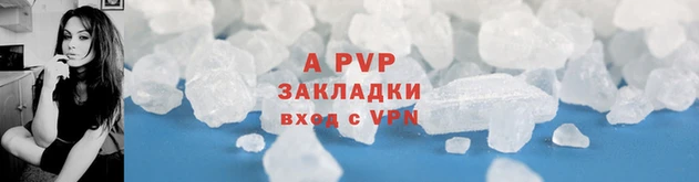 ГАЛЛЮЦИНОГЕННЫЕ ГРИБЫ Верея