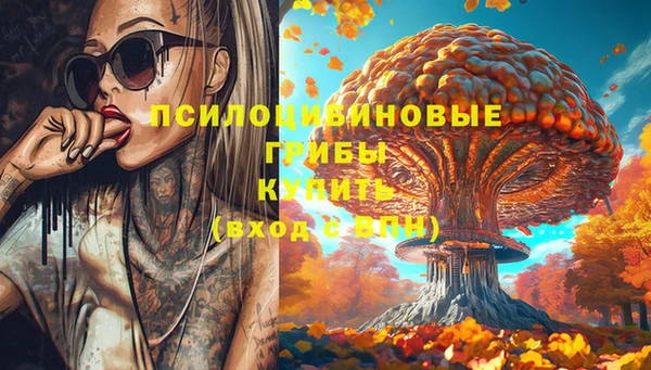 ГАЛЛЮЦИНОГЕННЫЕ ГРИБЫ Верея