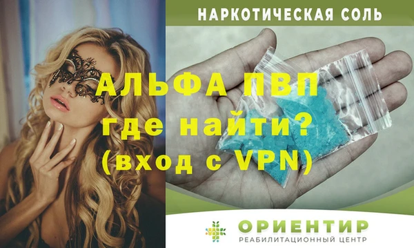 ГАЛЛЮЦИНОГЕННЫЕ ГРИБЫ Верея