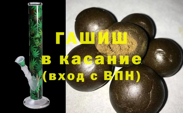 прущие грибы Верхний Тагил