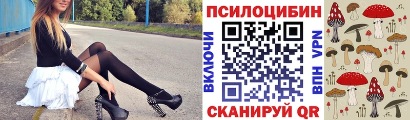 Псилоцибиновые грибы мухоморы  цены наркотик  Горбатов 